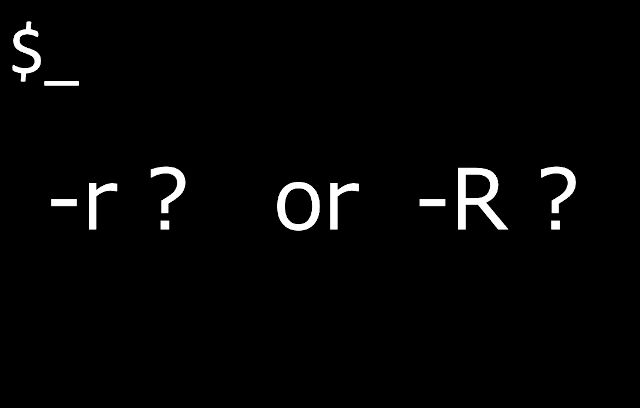 リカーシブオプションが Rと Rどちらかわからない コマンドの達人
